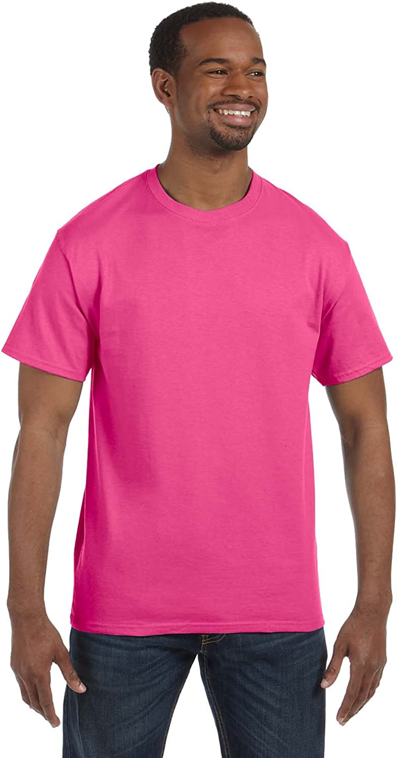 Hanes Tagless t-Shirt (5250T)